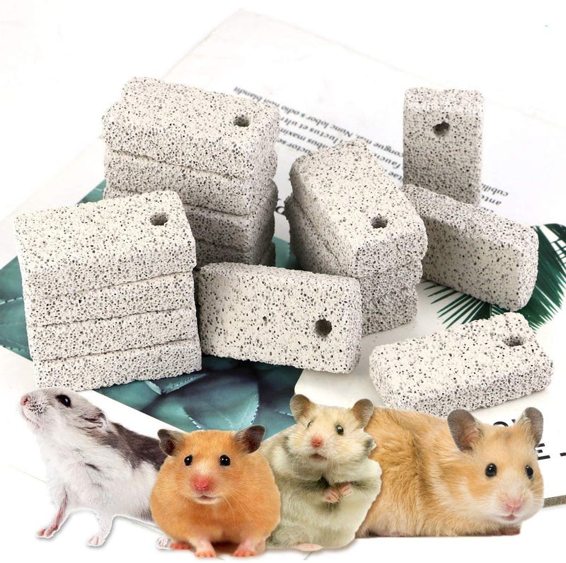 Newbested 20 Pcs Small Animal Pet Lava Bites Chews Toy Teeth Grinding Block Mineral Calcium Stone for Hamsters Parrot Chinchillas Rabbits - Image 1